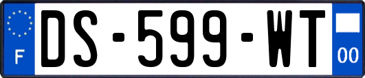 DS-599-WT