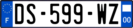 DS-599-WZ