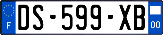 DS-599-XB