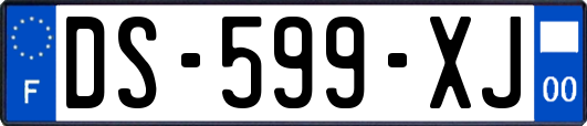 DS-599-XJ