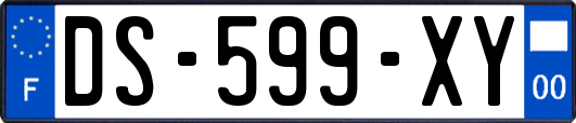 DS-599-XY