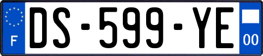 DS-599-YE