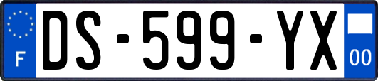 DS-599-YX