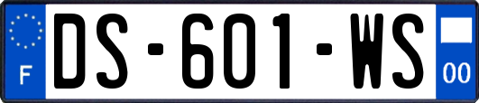 DS-601-WS