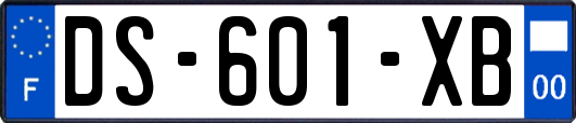DS-601-XB