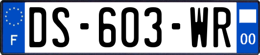 DS-603-WR