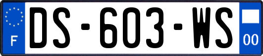 DS-603-WS