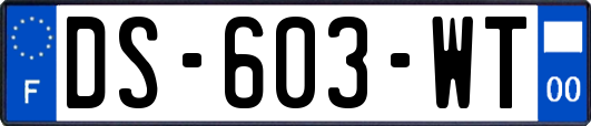 DS-603-WT