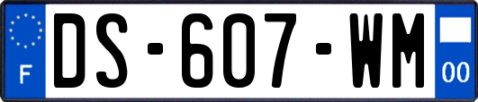 DS-607-WM