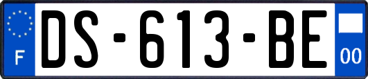 DS-613-BE