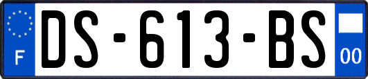 DS-613-BS