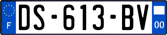 DS-613-BV