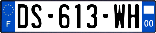 DS-613-WH
