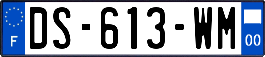 DS-613-WM