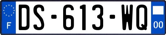 DS-613-WQ