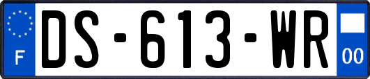 DS-613-WR