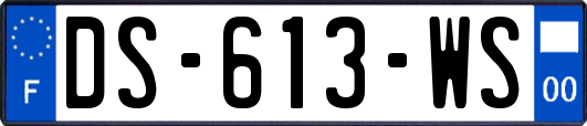 DS-613-WS