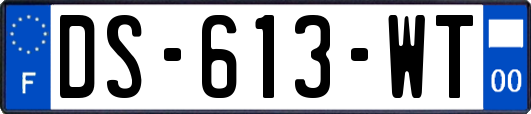 DS-613-WT