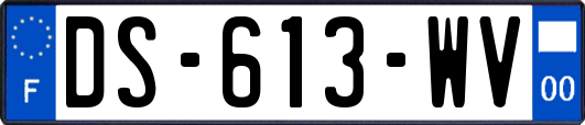 DS-613-WV