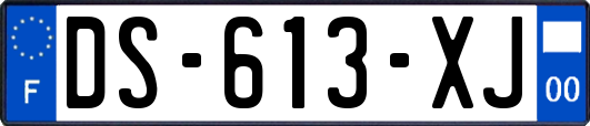 DS-613-XJ