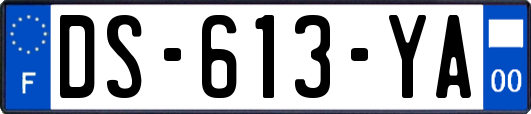 DS-613-YA