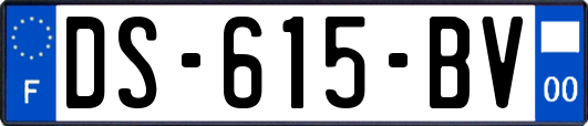 DS-615-BV