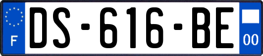 DS-616-BE