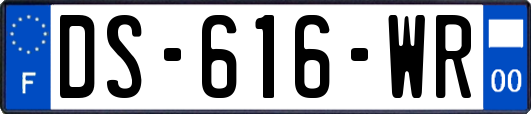 DS-616-WR