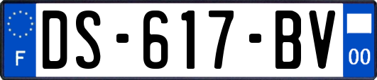 DS-617-BV