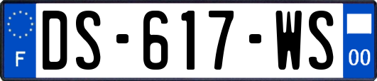 DS-617-WS