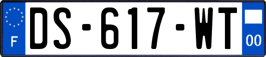 DS-617-WT