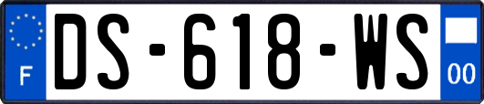 DS-618-WS