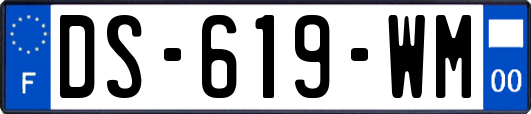 DS-619-WM
