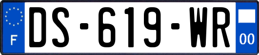 DS-619-WR
