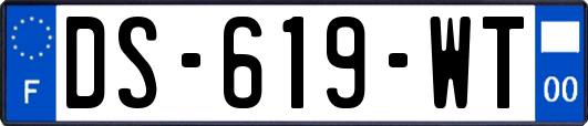 DS-619-WT