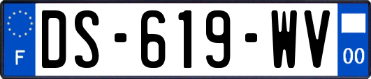 DS-619-WV