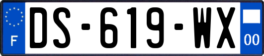 DS-619-WX