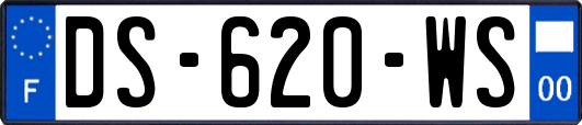 DS-620-WS