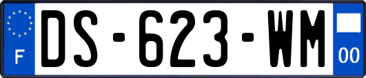 DS-623-WM