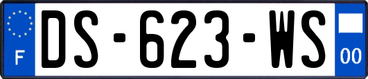 DS-623-WS