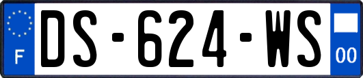 DS-624-WS