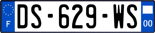 DS-629-WS