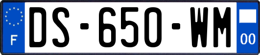 DS-650-WM