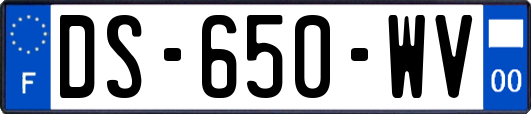 DS-650-WV