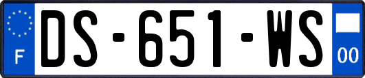DS-651-WS
