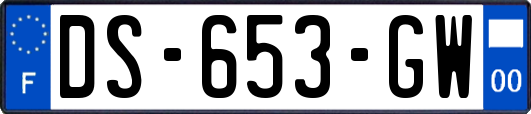 DS-653-GW