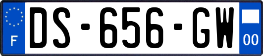 DS-656-GW