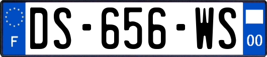 DS-656-WS