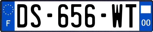 DS-656-WT