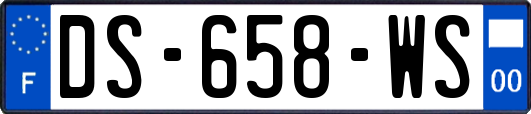 DS-658-WS